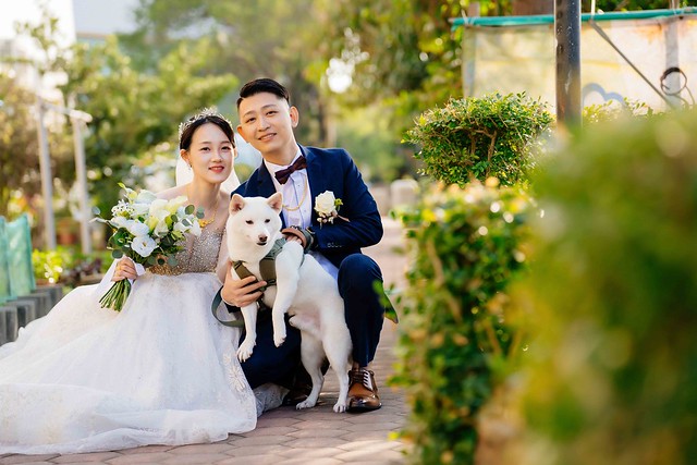 『晉&雅 結婚/晚宴 梧棲新天地』